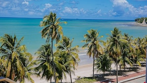 A beach with palm trees and a clear blue sky. - Unity #110 - Apartment by the sea by Carpediem (João Pessoa)