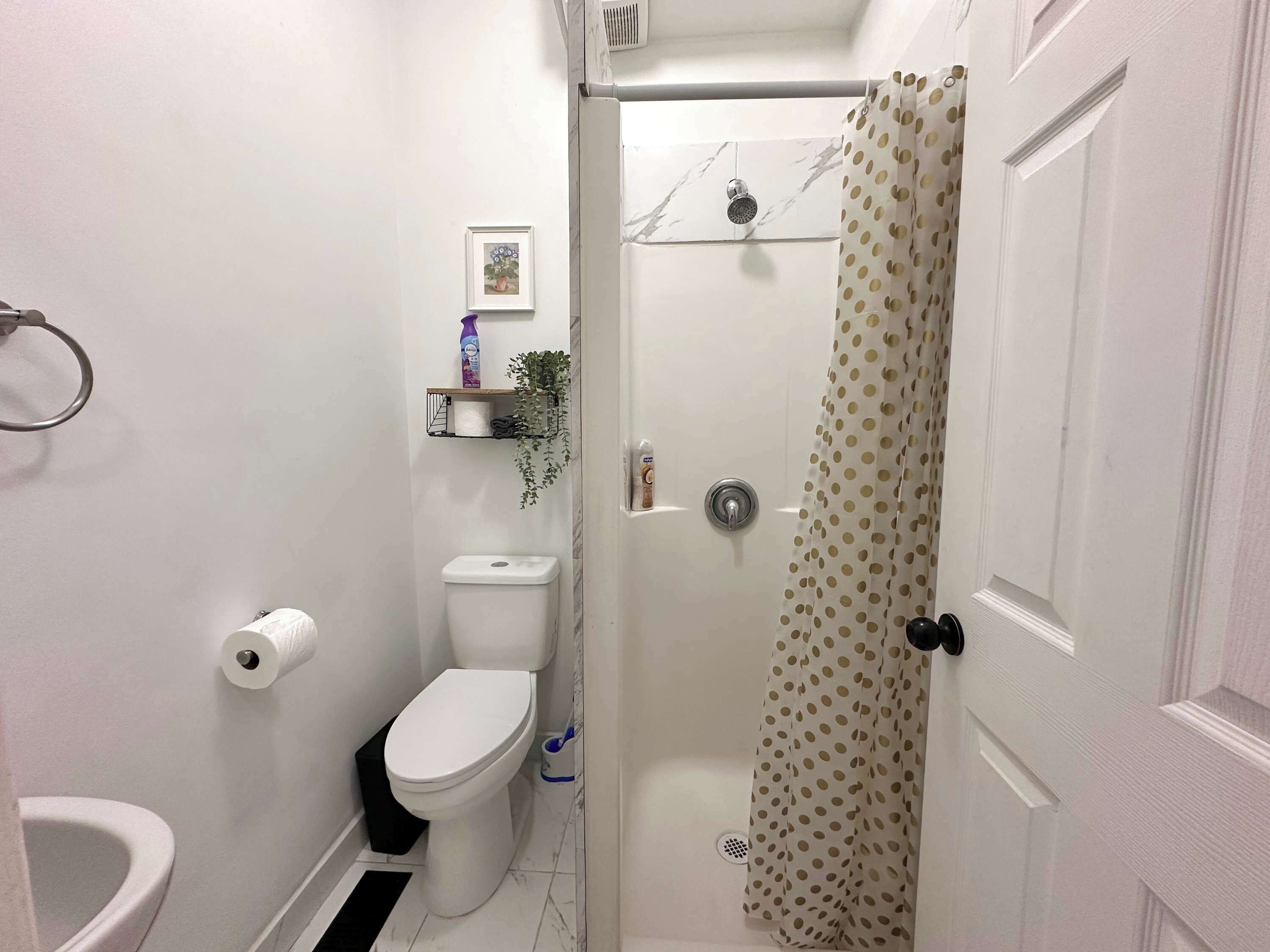 シャワー、ヘアドライヤー、タオル