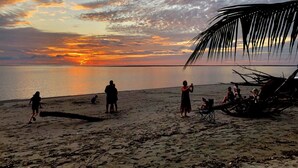 A beach scene with people and a palm tree. - Ojochal, Costa Rica
artist owned property, extensive gardens and pool (Ojochal)