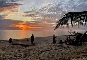 Eine Strandansicht mit Menschen und einer Palme.