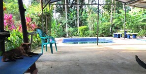 Pool - Ojochal, Costa Rica
artist owned property, extensive gardens and pool (Ojochal)