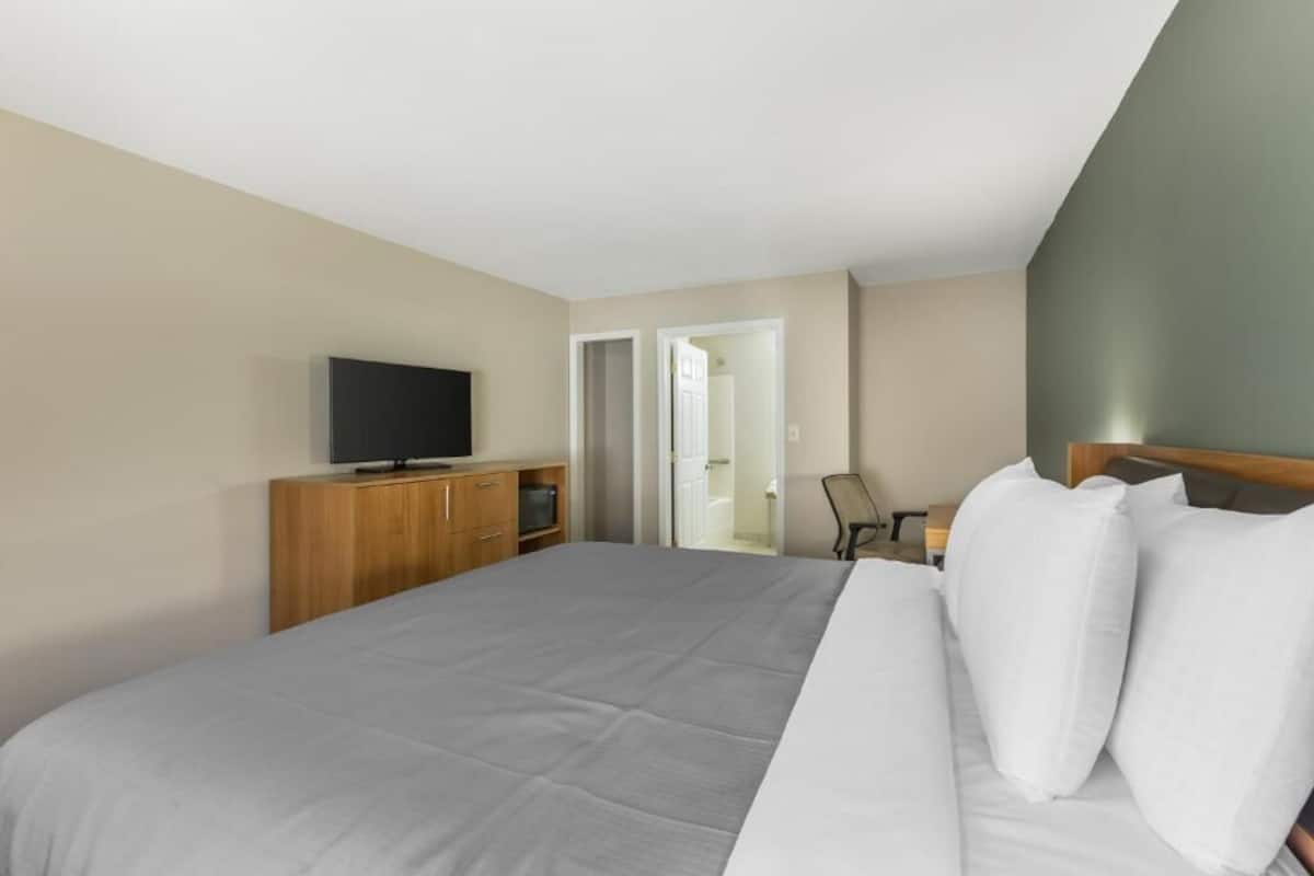 Escritorio, espacio para trabajar con un portátil, wifi gratis