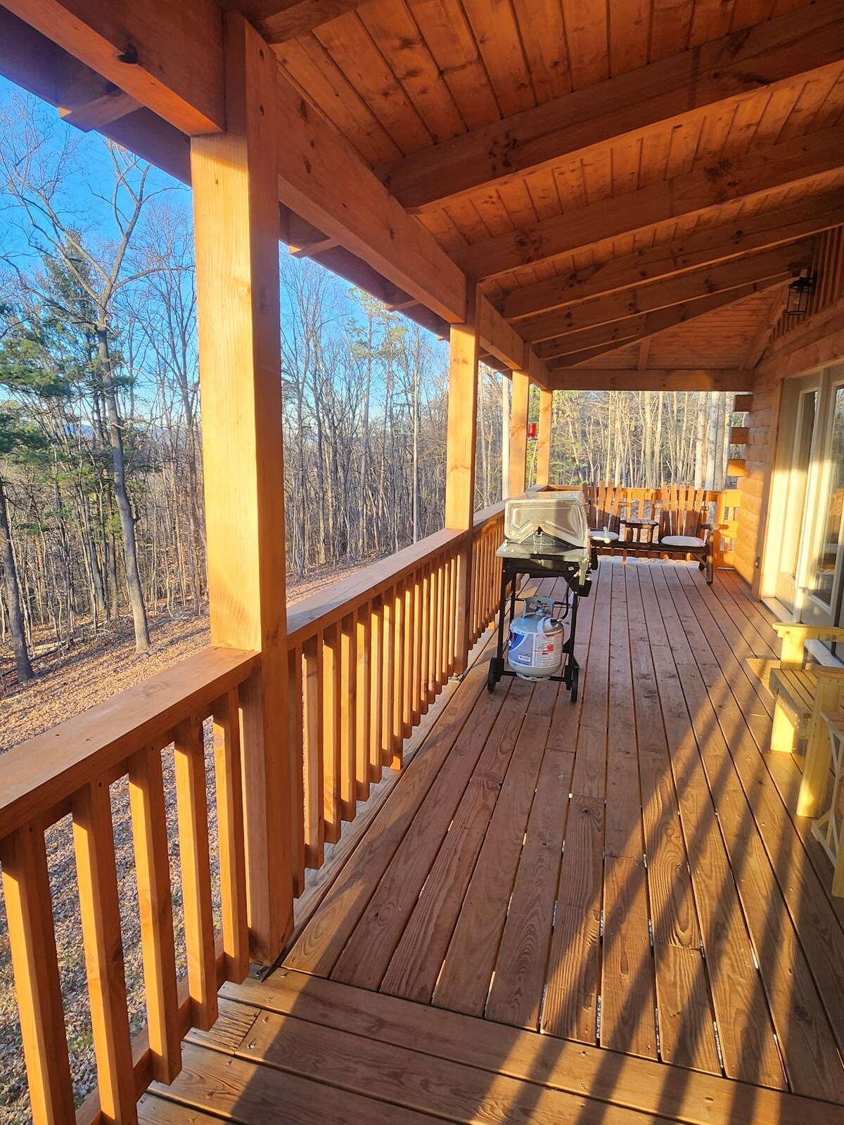 Imagen de perfil del propietario o de la propietaria