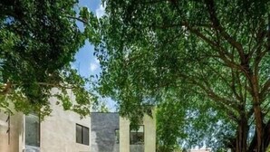 Un edificio moderno con patio, ventanas amplias y un árbol que da sombra.