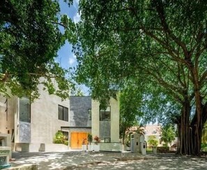 A modern building with a courtyard, large windows, and a tree providing shade. - Escapada de lujo en Playacar (Playa del Carmen)
