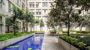 Un patio con una piscina rectangular, rodeado de vegetación y un moderno frente de edificio.