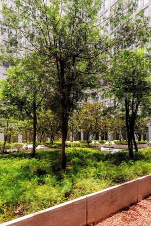Property grounds - Luxury stay near Zócalo | Pool + Jacuzzi + Gym (Mexico City)