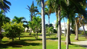 Una zona enjardinada i ben cuidada, amb palmeres i un cel blau i clar.