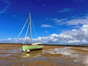 Beach - House between pond and ocean - ideal for a family (Lège-Cap-Ferret)