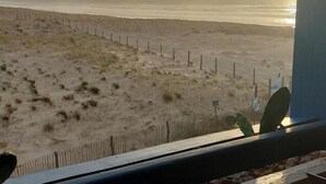 En vy över stranden med ett trästaket och en kaktus i förgrunden.