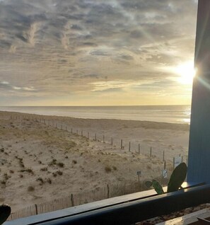 Beach - Ocean view (50m), dune, forest, comfortable studio. Tranquil beauty. (Mimizan plage)