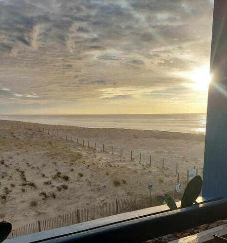 Ocean view (50m), dune, forest, comfortable studio. Tranquil beauty.