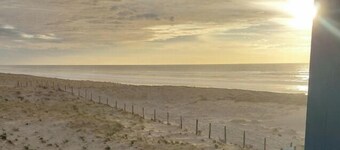 Ocean view (50m), dune, forest, comfortable studio. Tranquil beauty.