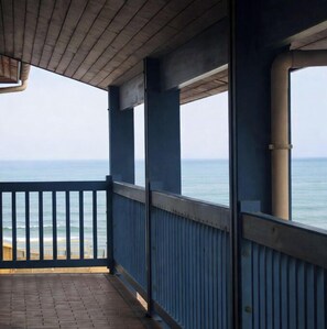 Property grounds - Ocean view (50m), dune, forest, comfortable studio. Tranquil beauty. (Mimizan plage)
