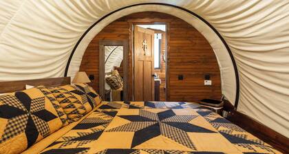 Luxury Covered Wagon, Rooterville Animal Sanctuary