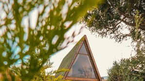 Una casa moderna de vidrio con forma triangular, rodeada de abundante vegetación.