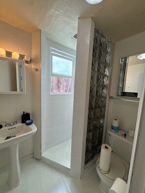 Bathroom - Family Friendly home with large fenced patio and BBQ grill (Albuquerque)
