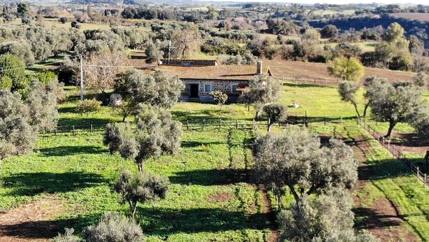 Uma casa de pedra com telhado de azulejos, rodeada por oliveiras e um quintal cercado.