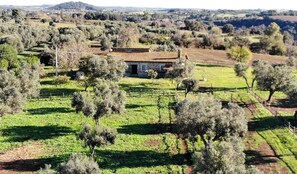 Exterior - Cozy farmhouse nestled in the greenery of the sacred area of ancient Caere (Lazio)