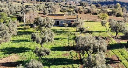 Cozy farmhouse nestled in the greenery of the sacred area of ancient Caere