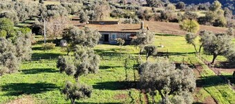 Cozy farmhouse nestled in the greenery of the sacred area of ancient Caere