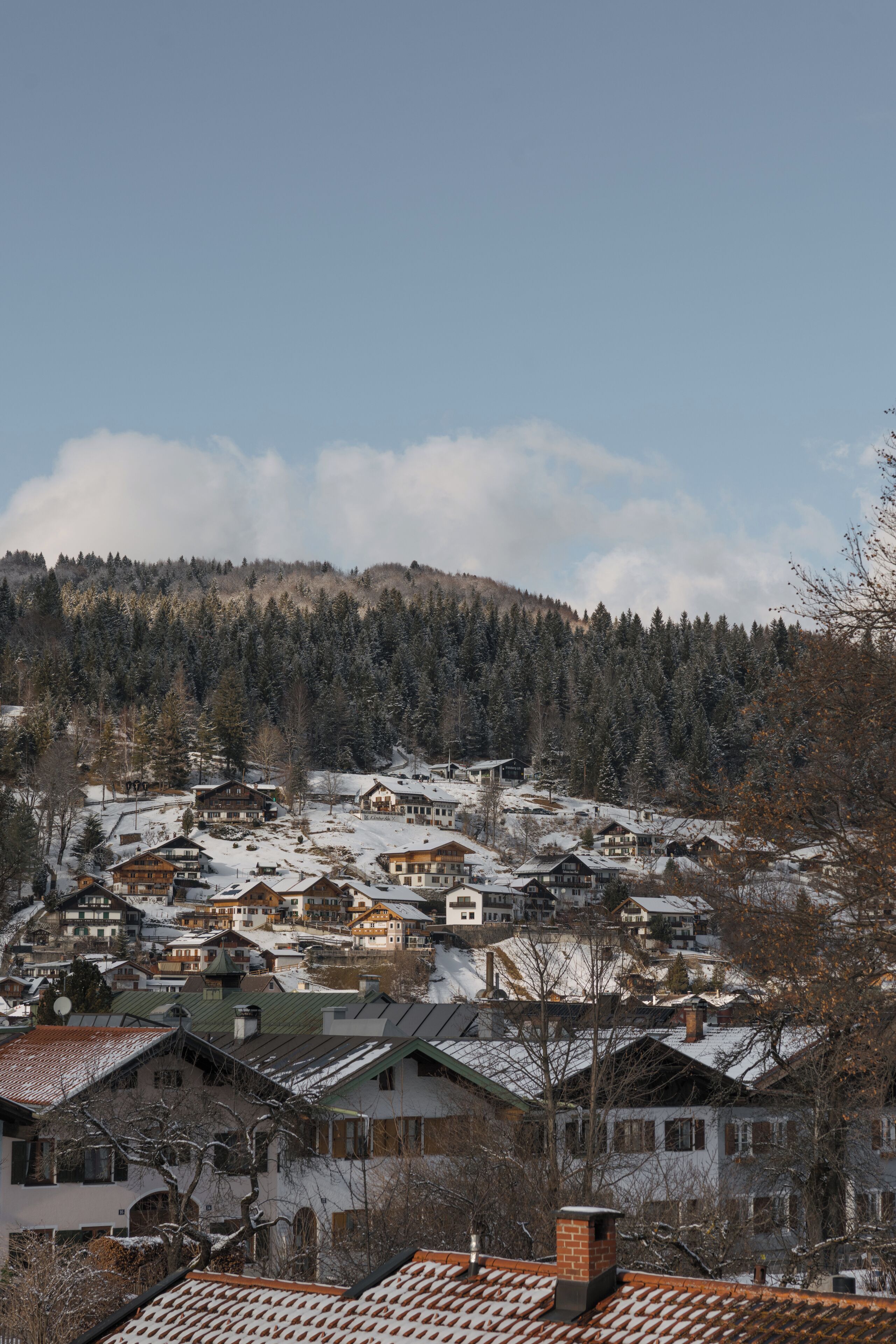 A snow-covered village with traditional wooden houses, a dense forest in the background, and a clear sky.
