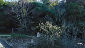 A view from a balcony overlooking a rocky terrain with sparse vegetation and a stone wall.