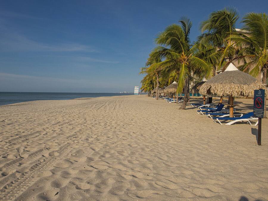 Una playa con huellas en la arena, palmeras y sillas de descanso.