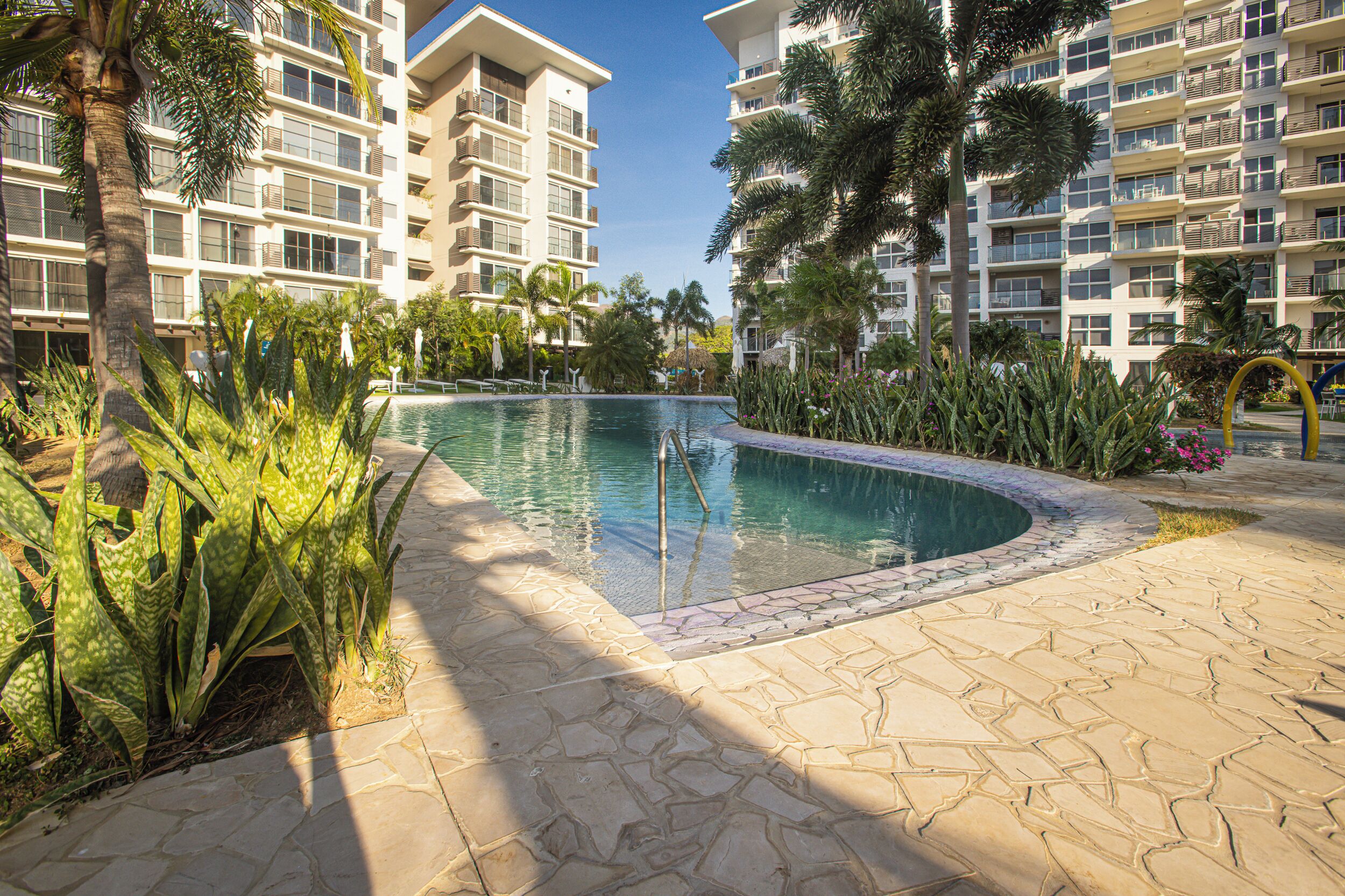 A swimming pool surrounded by palm trees and a stone walkway.