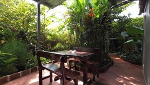 An outdoor patio with a wooden table and benches, surrounded by lush greenery and a metal roof structure.
