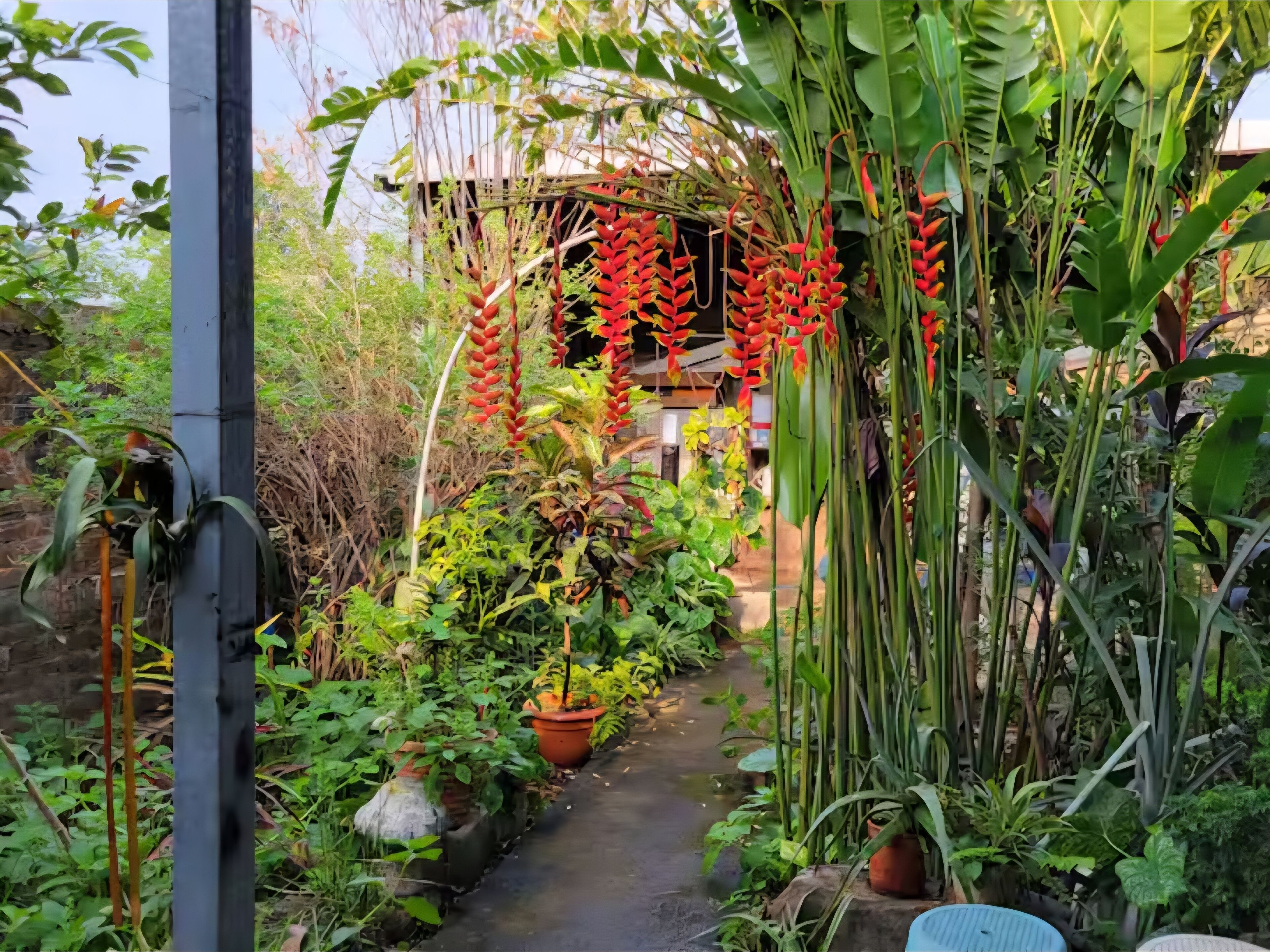 Jardines del alojamiento