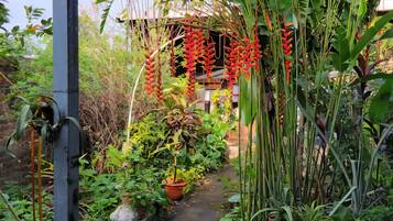 Jardines del alojamiento