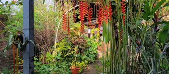Beautiful and comfortable house