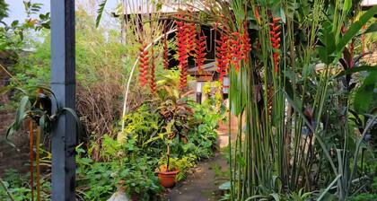 Beautiful and comfortable house