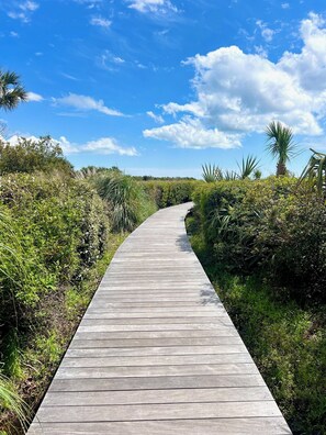 Interior - 138 High Hammock (Seabrook Island)