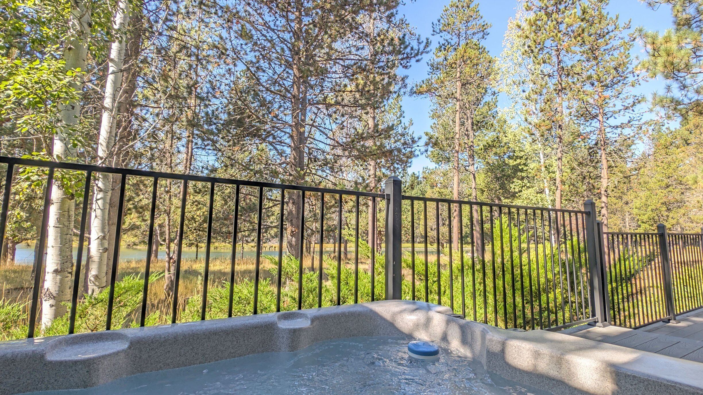 A hot tub area with a metal fence, surrounded by trees and greenery.