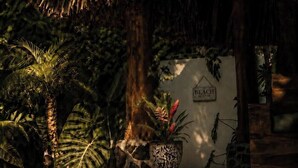 Zona de piscina con techo de paja, palmeras y un letrero que indica acceso a la playa.