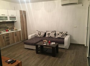 Ein gemütlicher Wohnbereich mit Sofa, Couchtisch und einer Küchenzeile.