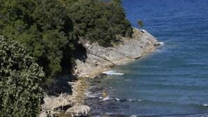 Paisagem costeira com falésias rochosas, vegetação verde densa e mar azul cristalino.
