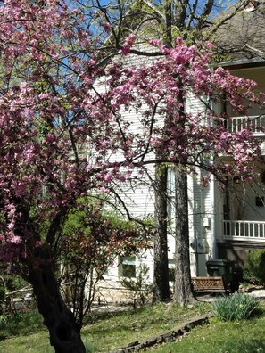 Exterior - The Lotus Suite (Eureka Springs)