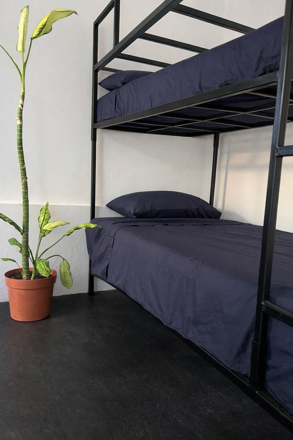 Shared Dormitory | Free WiFi