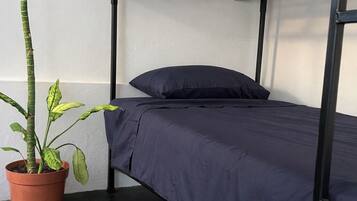 Shared Dormitory | Free WiFi