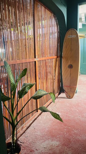 Olivo Hostel, Punta Zicatela