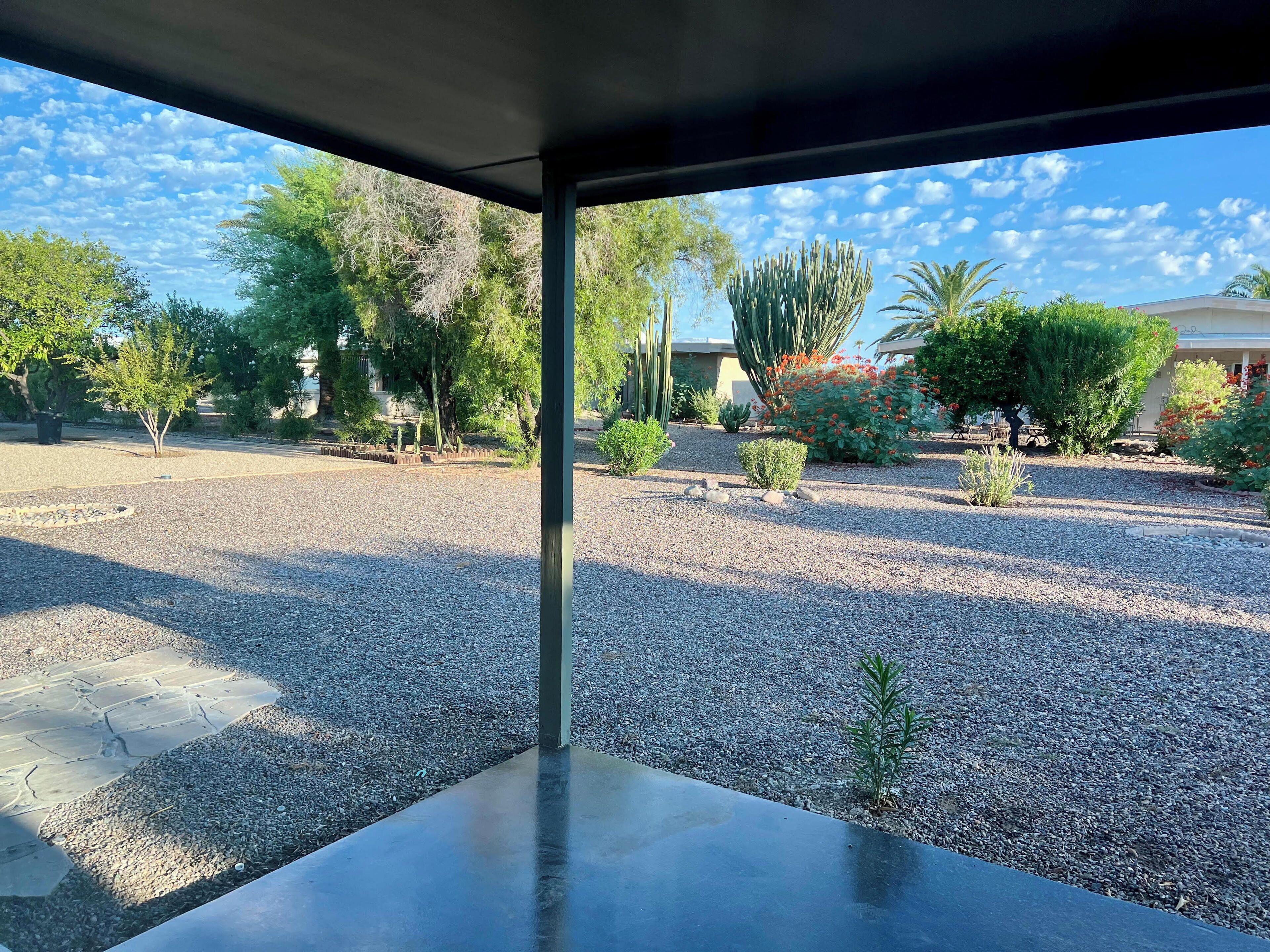 A view from a room with a large window overlooking a landscaped garden with various plants and a gravel path.