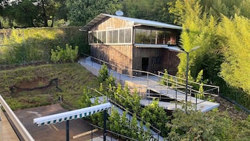 Uma cabana moderna de madeira com extensão de vidro, rodeada por vegetação exuberante e paisagem inclinada.