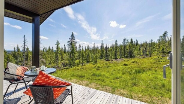 A covered outdoor seating area with a view of a forested landscape. - Family Cabin Budor - 60 MIN From OSL - Sauna & Hedmarksvidda (Loten)