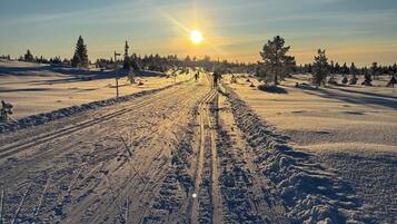 Cabin, 2 Bedrooms, Balcony | Miscellaneous