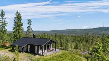 Cabin, 2 Bedrooms, Balcony | Exterior