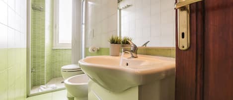 Regadera, secadora de cabello, bidet, toallas