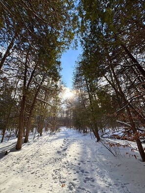 Miscellaneous - Dome & Private Sauna - Poplar Palace - 100 acres (Augusta)